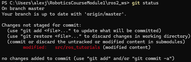 Git status after first push.