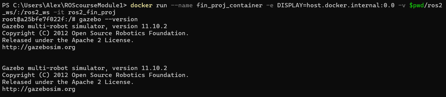 Launching the container of the final project.